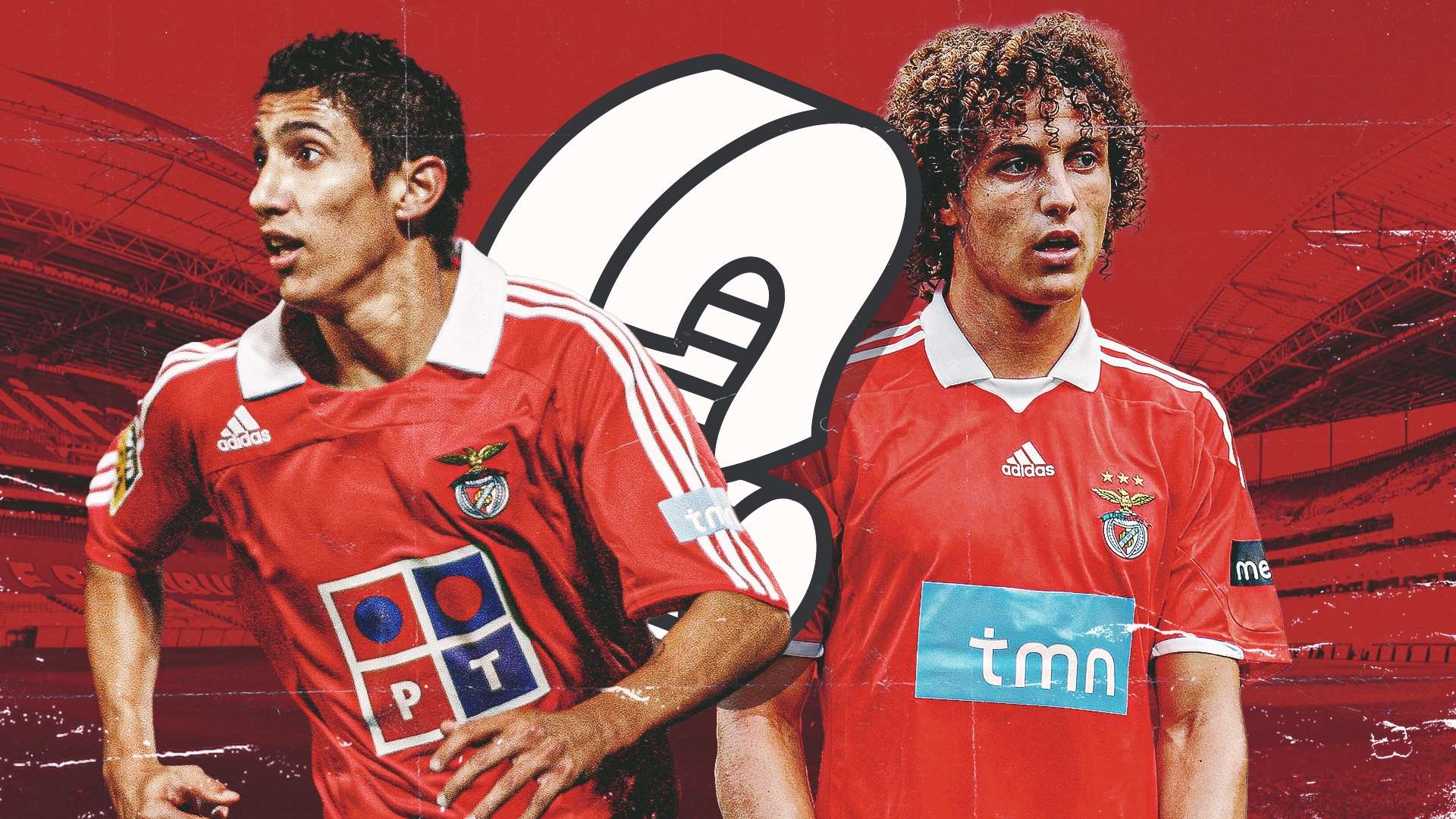 乒乓球女子 乒乓球女子