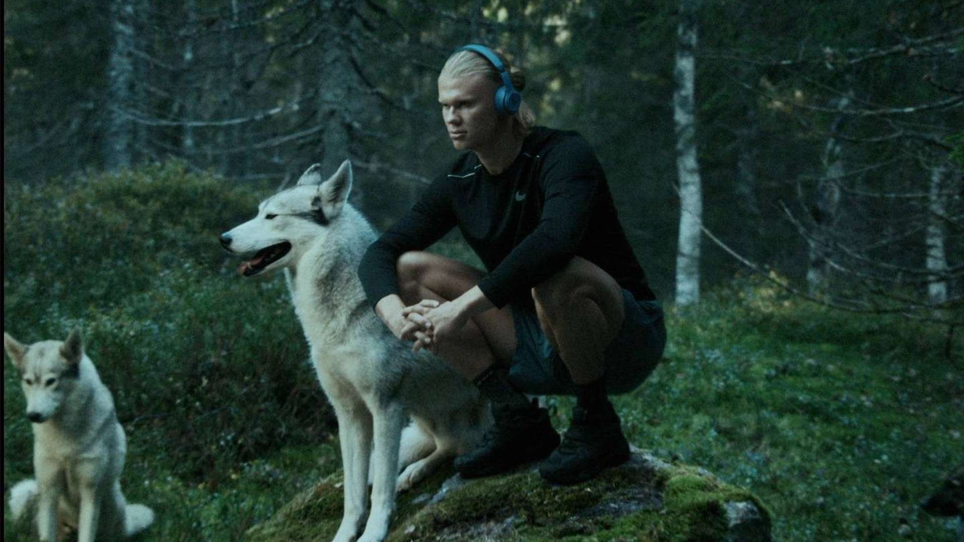 整体配合更 整体配合更